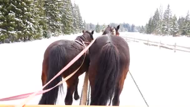 冬の鐘と馬を実行しています — ストック動画