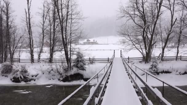 Ορεινό Ποτάμι Που Τρέχει Την Άνοιξη Πάγο — Αρχείο Βίντεο