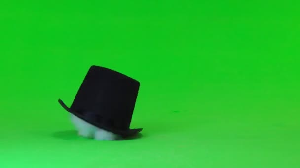装饰的兔子坐在黑帽子在绿色屏幕上 — 图库视频影像