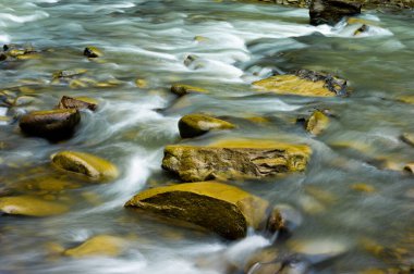 Dağ nehri taşlarla ve büyük bir su akışıyla.