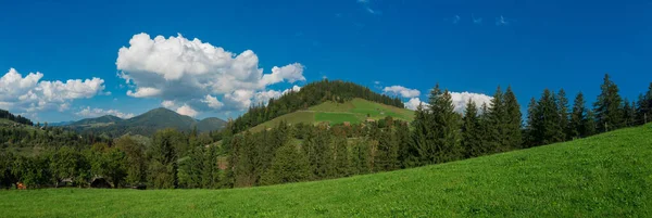 View of the carpathian mountains. Village of Krasnik. Ivano-Frankivsk region, Ukraine — Stock Photo, Image