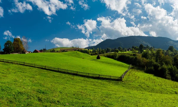Green meadow in the mountains. Ukraine — Stock Photo, Image
