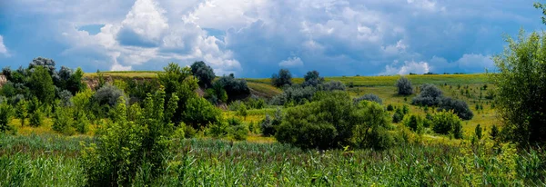 Alrededores de la aldea de Vodyaniki, región de Cherkasy, Ucrania — Foto de Stock