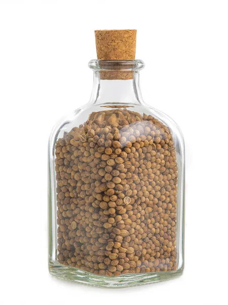 Coriander seeds in a transparent bottle isolated on white — Stock Photo, Image