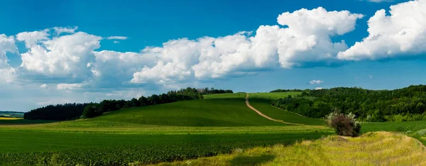 Δρόμος σε χωράφι. Περιφέρεια Cherkasy, Ουκρανία — Φωτογραφία Αρχείου