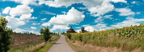 Pohled na dřevěný kostel Nanebevzetí Páně. Vodianiki, Cherkasy region, Ukrajina — Stock fotografie