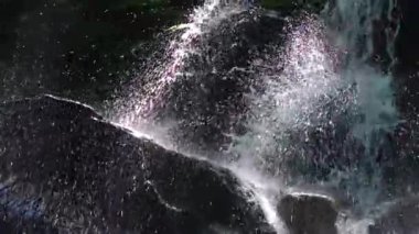 Shipot - Transcarpathian bölgesinin Mezhgorsky bölgesinde bir şelale. Ukrayna. Taşların arasında suyun yavaş hareketi. ses 