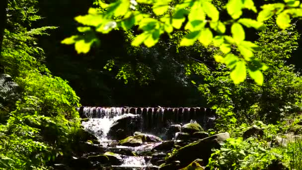 Shipot Ein Wasserfall Bezirk Meschgorski Der Region Transkarpatien Ukrainisch Zeitlupe — Stockvideo