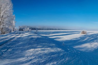 Ağaçlı karlı bir yol manzarası