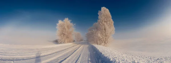 Ağaçlı karlı bir yolun panoramik manzarası. Noel havası — Stok fotoğraf