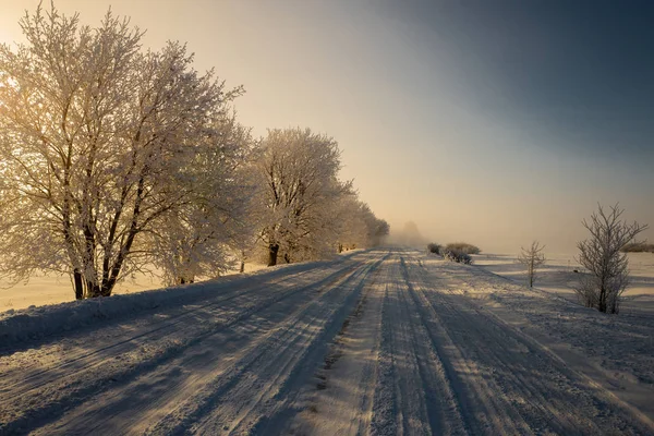 Camino a lo largo de los árboles nevados contra el telón de fondo de los rayos del sol . — Foto de Stock