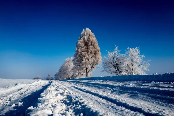 Straße entlang der schneebedeckten Bäume gegen den blauen Himmel. Winterlandschaft — Stockfoto