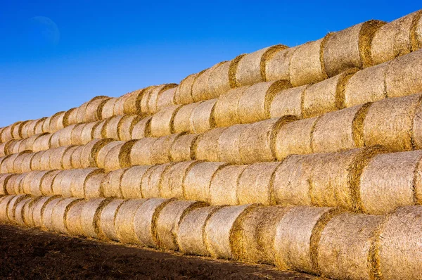 El heno yace en el campo sobre el fondo de la luna . —  Fotos de Stock