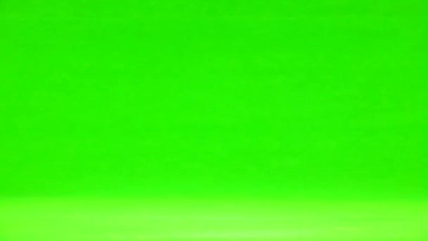 一只小鸡在绿色的屏幕上走着 慢动作 — 图库视频影像
