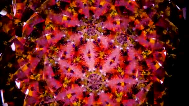 Muster Natürliches Kinderspiegelkaleidoskop Aus Unserer Kindheit Das Filmmaterial Ist Makro — Stockvideo