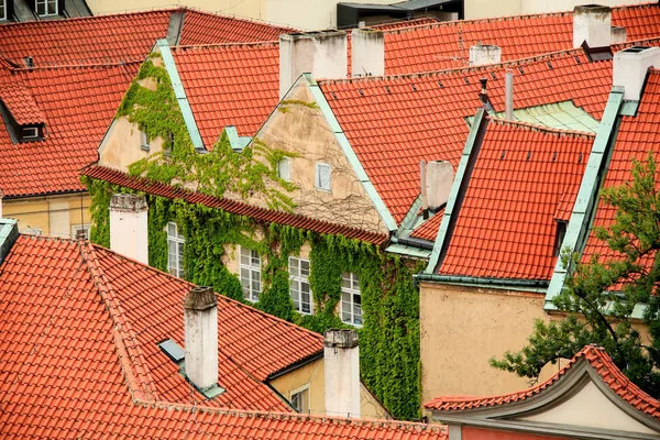 La hiedra verde envolvió el antiguo edificio de la antigua Praga. Praga — Foto de Stock