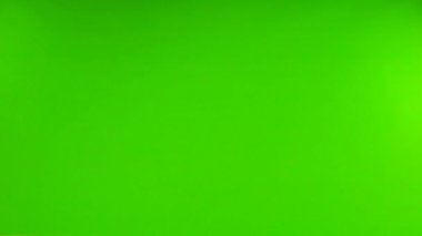 İzole edilmiş yeşil ekranda uçan güvercin. yavaş çekim