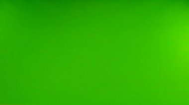 İzole edilmiş yeşil ekranda uçan güvercinler. yavaş çekim