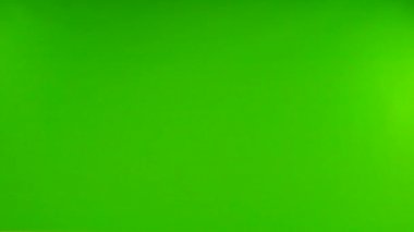 İzole edilmiş yeşil ekranda uçan güvercinler. yavaş çekim