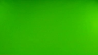 İzole edilmiş yeşil ekranda uçan beyaz güvercin. yavaş çekim