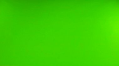 İzole edilmiş yeşil ekranda uçan güvercin. yavaş çekim