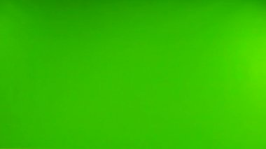 İzole edilmiş yeşil ekranda uçan güvercin. yavaş çekim