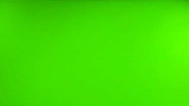 Літаючий Голуб Зеленому Екрані Повільний Рух — стокове відео