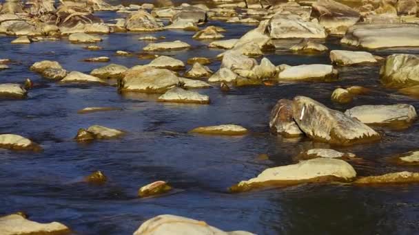 Bergrivier Met Een Stroom Van Water Langzame Beweging — Stockvideo