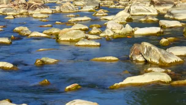 Rio Montanha Com Fluxo Água Som — Vídeo de Stock