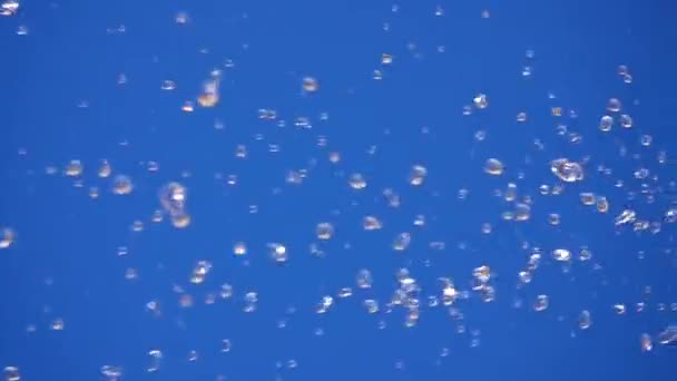 Gotas Agua Que Caen Aisladas Pantalla Azul Cámara Lenta — Vídeo de stock