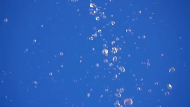 Lezuhanó Vízcseppek Elszigetelt Kék Képernyőn Lassított Felvétel — Stock videók