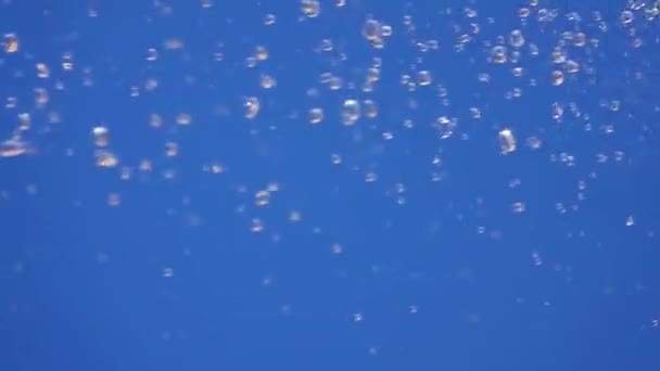 Падаючі Краплі Води Ізольовані Синьому Екрані Повільний Рух — стокове відео