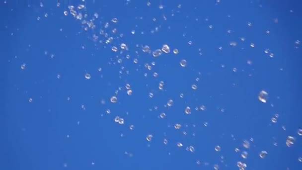 Gotas Agua Que Caen Aisladas Pantalla Azul Cámara Lenta — Vídeo de stock