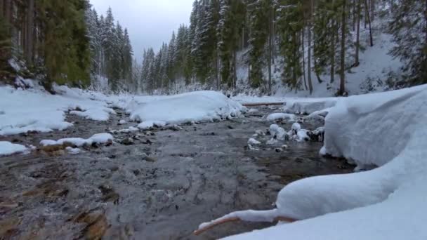 在山河上融化的雪 — 图库视频影像