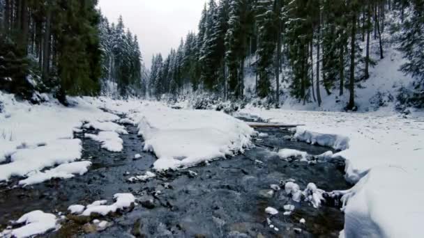 Smeltende Sneeuw Een Berg Rivier — Stockvideo