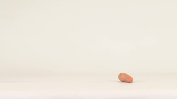 Coelho Corre Para Cenouras Come Isolado Uma Tela Branca — Vídeo de Stock