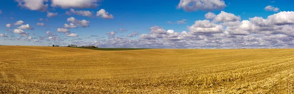 Panoramic Corn Fields Beautiful Clouds Autumn — Stock Photo, Image