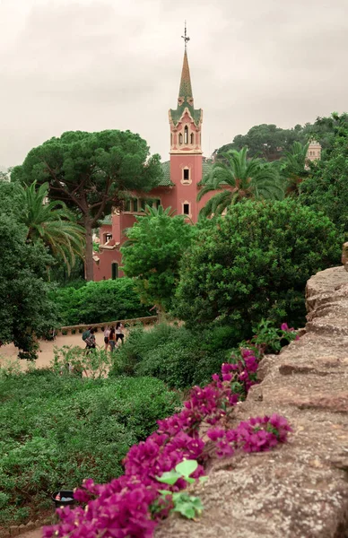 Park Guell Antonio Gaudí Con Arbustos Rosados Florecientes Barcelona Cataluña — Foto de Stock
