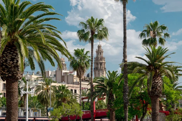 Beautiful Palm Trees Promenade Barcelona Summer Catalonia Spain — Stock Photo, Image