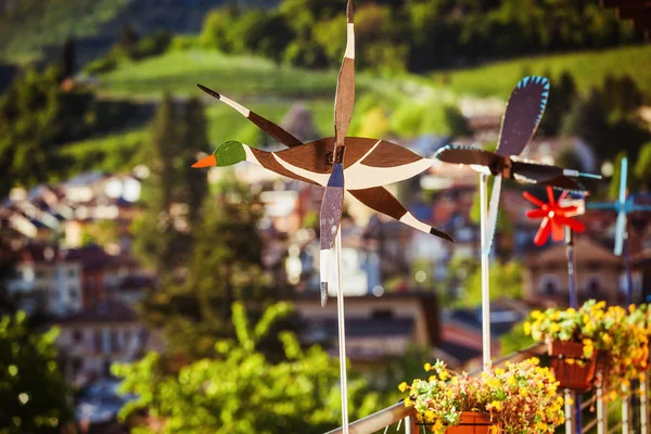 Pato palheta em uma varanda — Fotografia de Stock