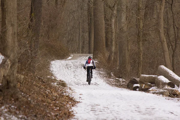 Bicyclist on woodland trail