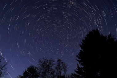 Sonbahar ormanlık kasırga