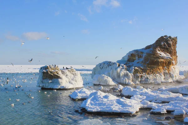 Kuşlar ile kış deniz manzarası.
