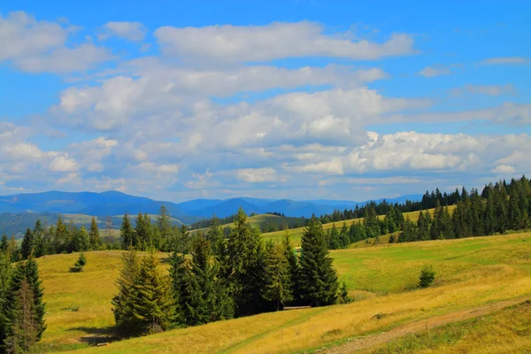 Schönheit der Karpaten. — Stockfoto