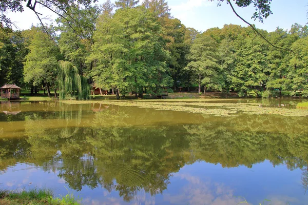 Das Bild Wurde Der Ukraine Beregvar Park Aufgenommen Auf Dem — Stockfoto