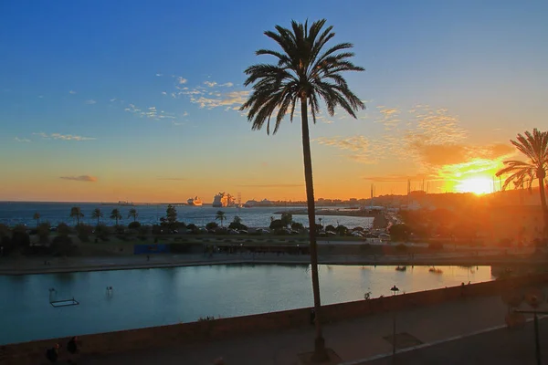 Zonsondergang boven de warme kust van de stad Palma. — Stockfoto