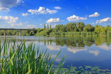 Güneşli bir günde sakin bir nehrin kıyısında.