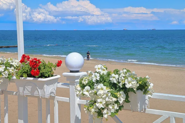 Fotoğraf Ukrayna Çekildi Karadeniz Kıyısındaki Odessa Fotoğrafında Planda Çiçek Saksıları - Stok İmaj