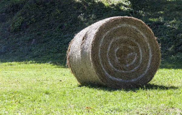 Rolo de feno mentira em um campo inclinado . — Fotografia de Stock