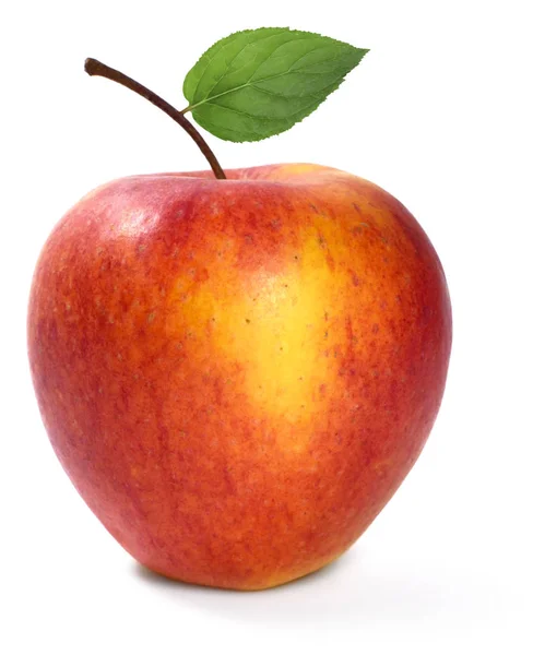 Bio roter Apfel mit Blatt — Stockfoto